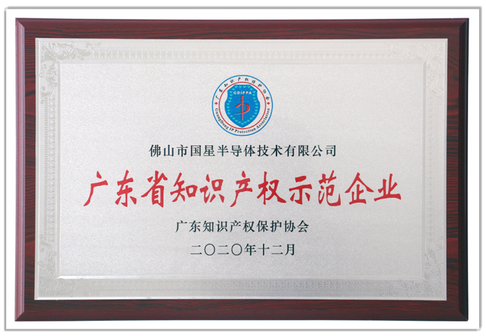 2020年度廣東省知識產權示范企業.png